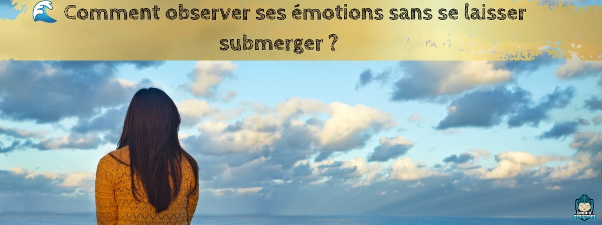 Comment-observer-ses-émotions-sans-se-laisser-submerger-Blog-La-Maison-de-Bouddha