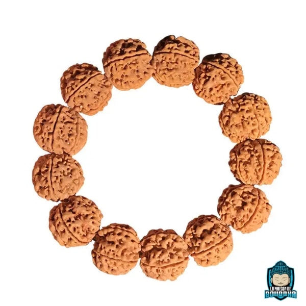Bracelet-Graine-de-Rudraksha-naturelles-du-nepal-18-a-20-mm-bracelet-elastique-La-Maison-de-Bouddha