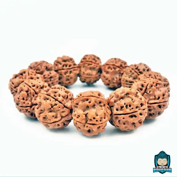 Bracelet-Graine-de-Rudraksha-naturelles-du-nepal-20-mm-modele-pour-homme-La-Maison-de-Bouddha