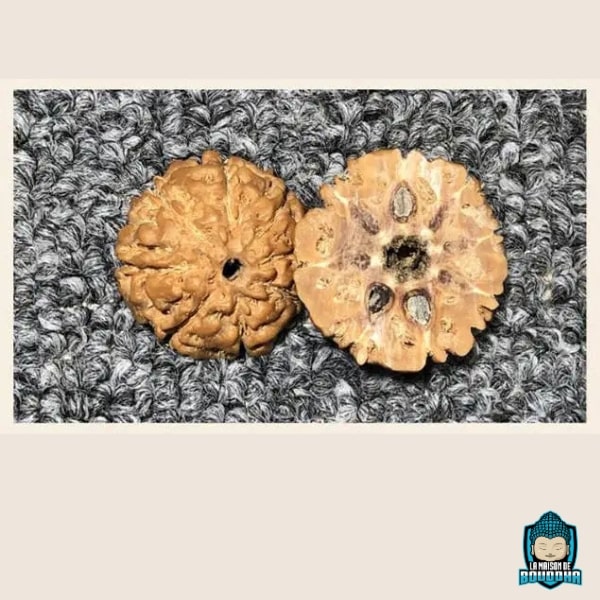 Bracelet-Graine-de-Rudraksha-naturelles-du-nepal-a-5-faces-La-Maison-de-Bouddha