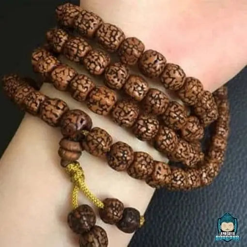Mala en Graine de Rudraksha du Népal Top Qualité  La Maison de Bouddha