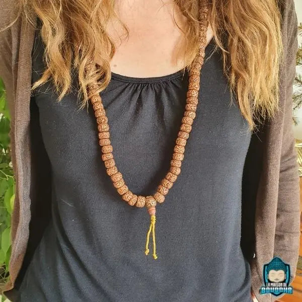 Mala en Graine de Rudraksha du Népal Top Qualité  La Maison de Bouddha